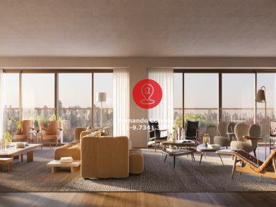 LIVING DE JUNÇÃO 500 M²